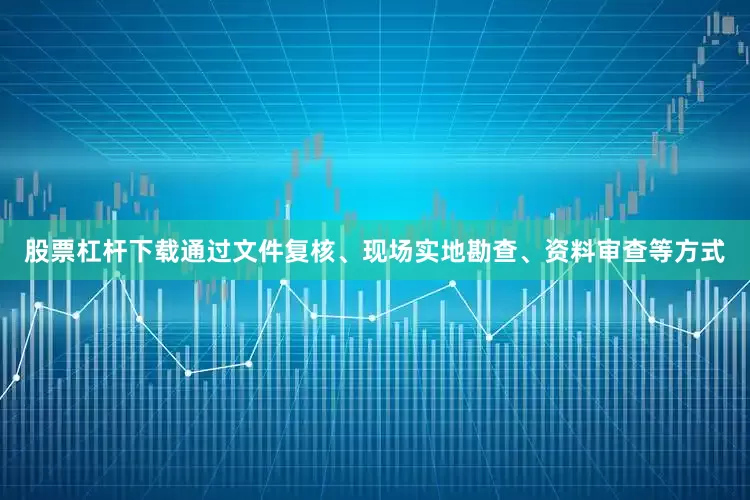 股票杠杆下载通过文件复核、现场实地勘查、资料审查等方式