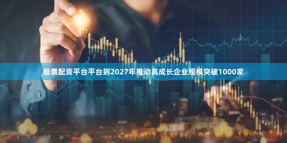 股票配资平台平台到2027年推动高成长企业规模突破1000家