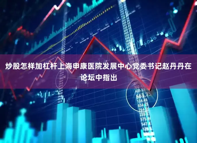 炒股怎样加杠杆上海申康医院发展中心党委书记赵丹丹在论坛中指出