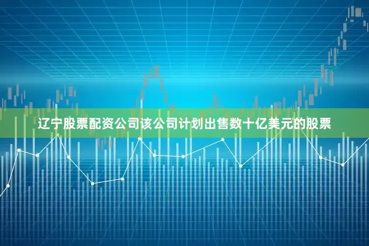 辽宁股票配资公司该公司计划出售数十亿美元的股票